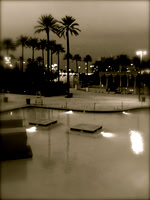Sights and Scenes