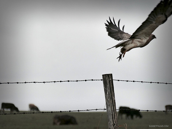 Take Off