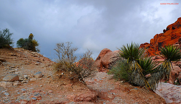 Red Desert