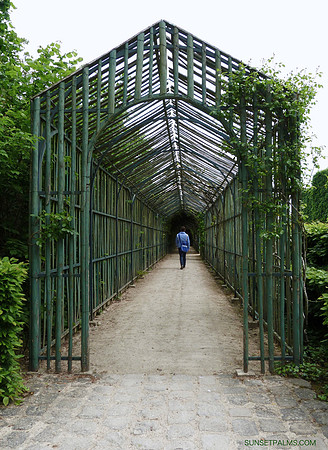 Walk