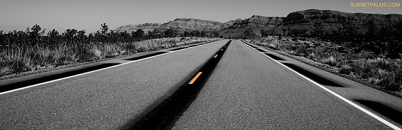 Joshua Tree Road