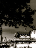 Sights and Scenes