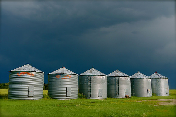 After the Alberta Storm
