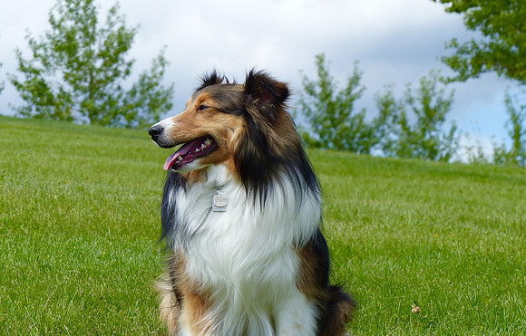 Jack at Elliston