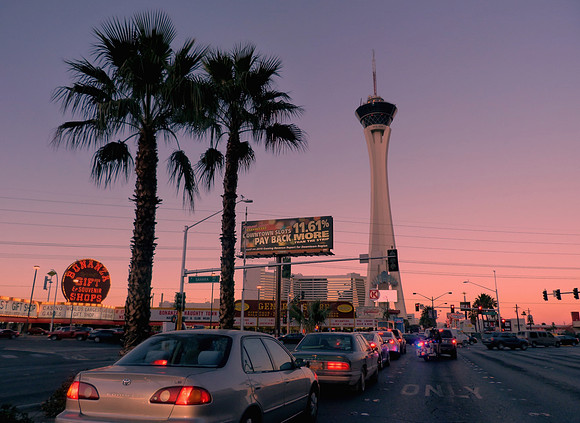 Vegas Nights