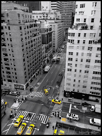 New York City Taxicabs