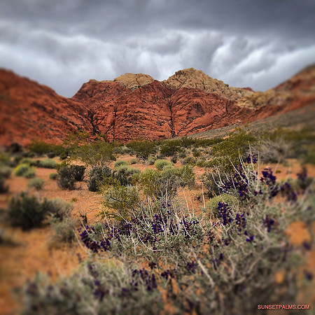 Storm Over Desert