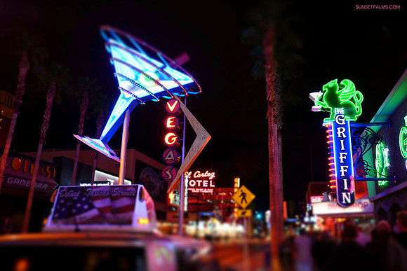 Vegas Nights