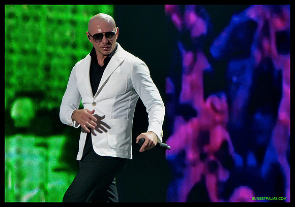 Pitbull