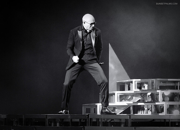 Pitbull