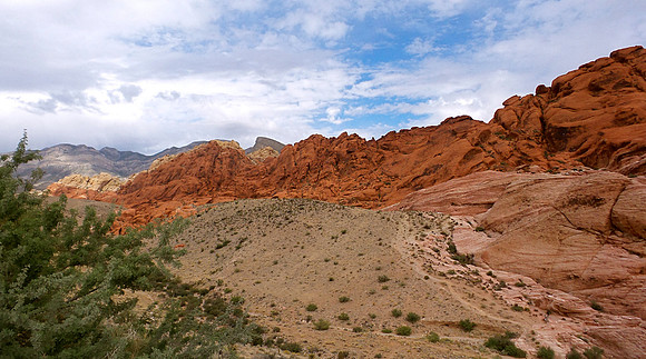 Desert Landscape
