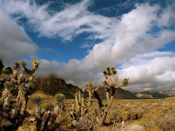 Red Rock Canyon, Nevada