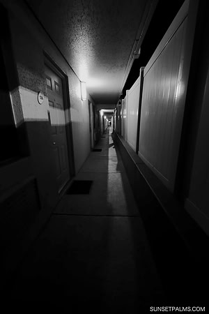 Midnight Motel