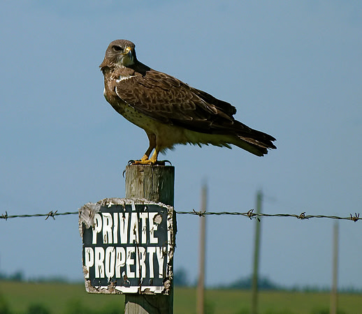 Private Property