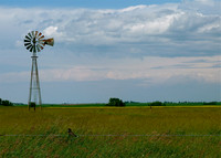 Sights and Scenes