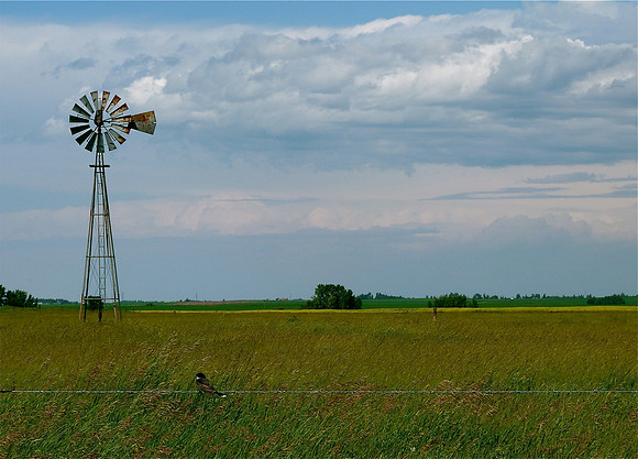 Alberta