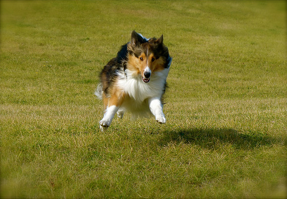 Jack Full Out